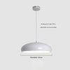 Simple personality single head dining pendant lamp