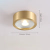 All copper aisle balcony led ceiling light