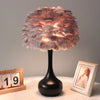 Bedroom bedside DIY decorative feather table lamp