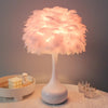 Bedroom bedside DIY decorative feather table lamp