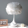 Bedroom bedside DIY decorative feather table lamp