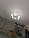 Cream Color Glass PersimmonChandeliers
