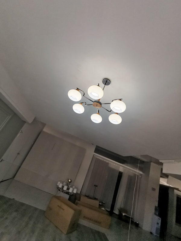 Cream Color Glass PersimmonChandeliers