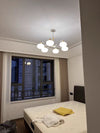 Cream Color Glass PersimmonChandeliers