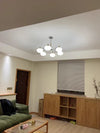 Cream Color Glass PersimmonChandeliers