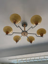 Cream Color Glass PersimmonChandeliers