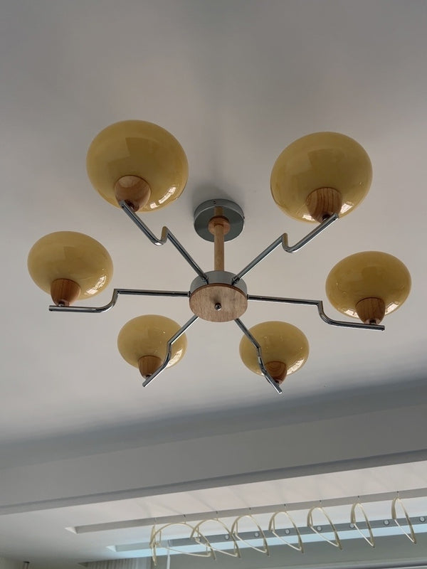 Cream Color Glass PersimmonChandeliers
