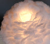 Feather & Crystal Table Lamp