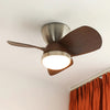 French retro restaurant bedroom ceiling fan light