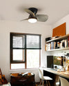 French retro restaurant bedroom ceiling fan light