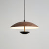 Frisbee Pendant Lamp, Wood Grain Dining Room Lamp