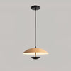 Frisbee Pendant Lamp, Wood Grain Dining Room Lamp