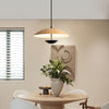 Frisbee Pendant Lamp, Wood Grain Dining Room Lamp