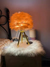 Goose Feather & Metal Table Lamp