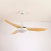 Modern and simple fan lamp