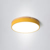 Morandi Flush Mount Ceiling Light, Metal & Wood