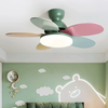 Multi-color petal ceiling fan lamp