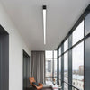 Minimalist long ceiling light