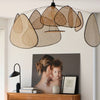 Screen Cannage Suspension Chandelier