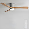Wooden fan blade fan lamp
