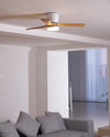 Wooden fan blade fan lamp
