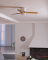 Wooden fan blade fan lamp