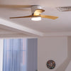 Wooden fan blade fan lamp