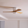 Wooden fan blade fan lamp