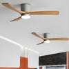 Wooden fan blade fan lamp