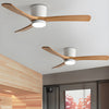 Wooden fan blade fan lamp