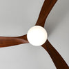 Wooden fan blade fan lamp