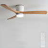 Wooden fan blade fan lamp