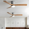 Wooden fan blade fan lamp