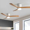 Wooden fan blade fan lamp