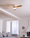 Wooden fan blade fan lamp