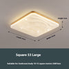 Ripple Star Ceiling Light