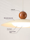 Removable swing light